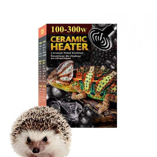 Lâmpada de Cerâmica Porco Espinho Lâmpada de Cerâmica Porco Espinho