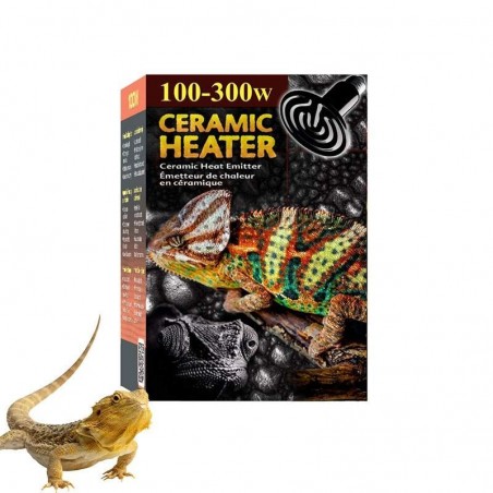 Lâmpada de Cerâmica Dragão Barbudo